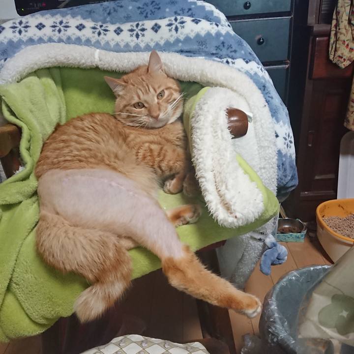 57e48ddc a465 442e a85f 63bf08e0d882 1654740030678