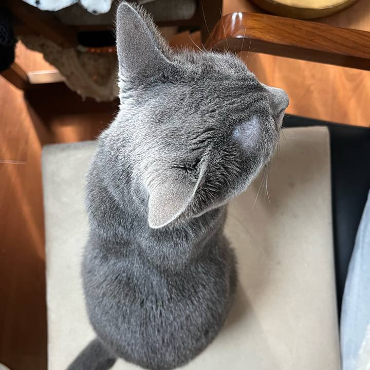 57e4a05f ca26 41d2 ac4d 9ec543f41797 1700313550984