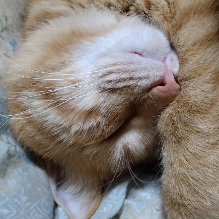 57e4a7cb 308a 4e06 a6c7 6d155c823af3 1666701857841