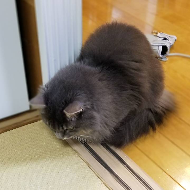 57e4af9b ed9b 4694 9530 8809847051bf 1572438034128