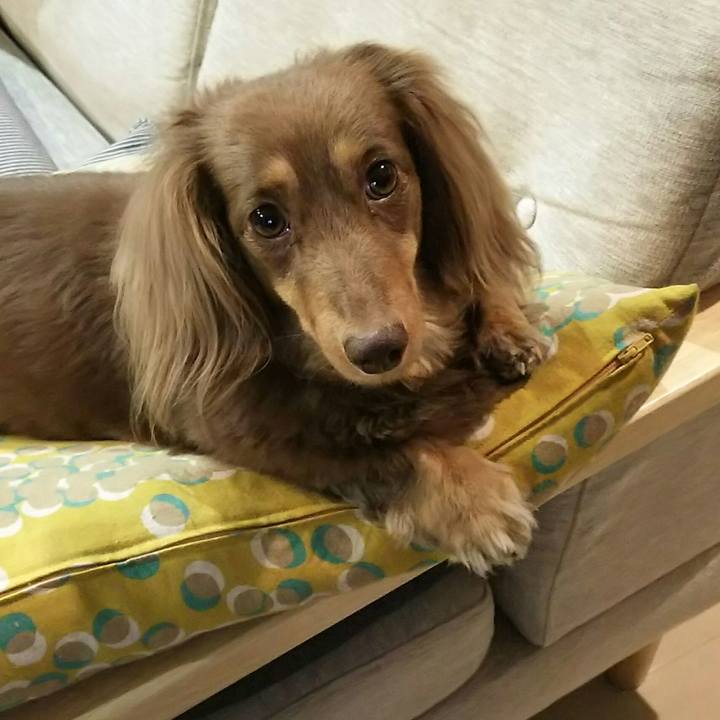 57e4e951 8252 404d 8c0c 98018ad4b10f 1526994965801