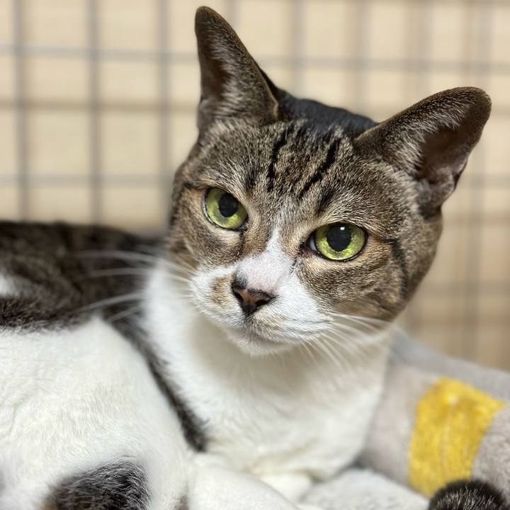 57e4ecbc 0c2b 4e7d 91cf e5635f3668f2 1666664433867