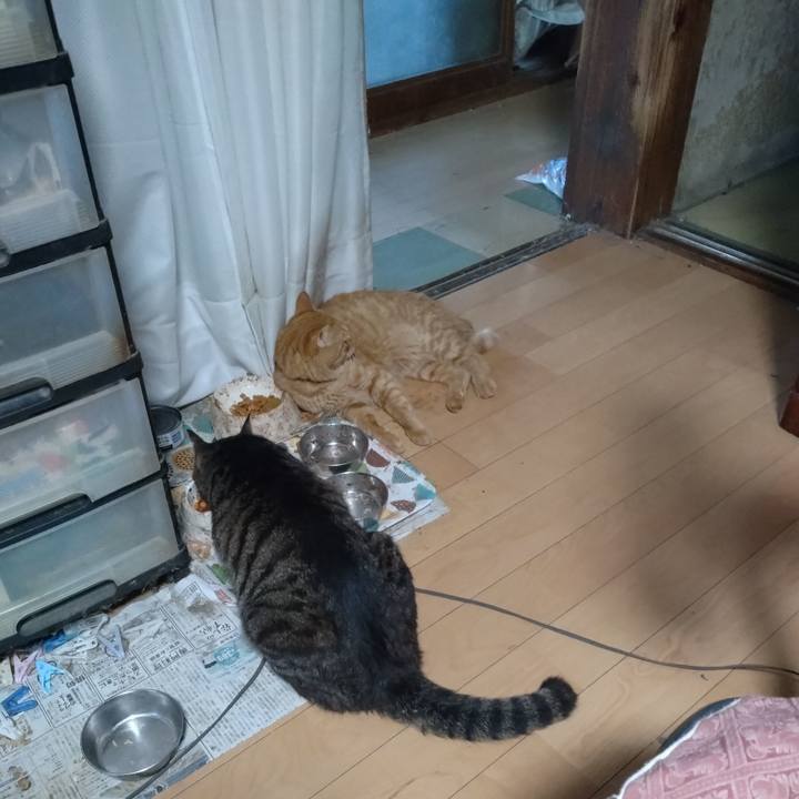 57e4f9ae 86d9 4e81 884f 2e1edeb2667b 1691662098070