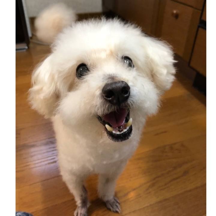 57e50416 c0fe 4e49 b0ee 5fad27d8c7e7 1558682429639