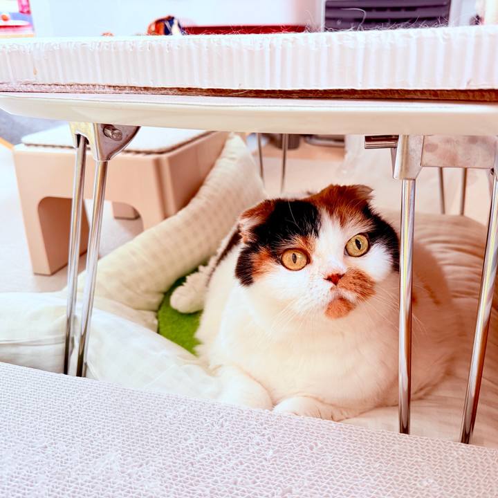 57e50b2c 94b6 46b1 901c 58d832eee6f8 1742781043143