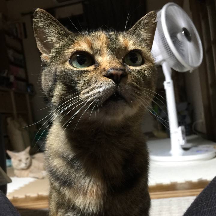 57e50d2b f1bd 4dd1 be06 7244baefbade 1533387592224