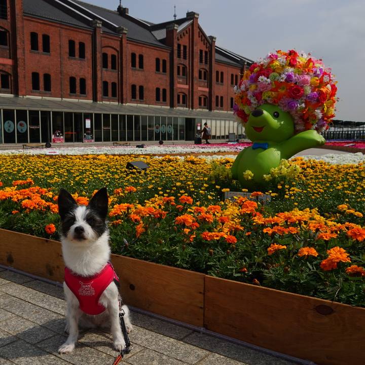 57e5366e 91d7 4a9d 9cb2 79c8a44f40b5 1617701064596