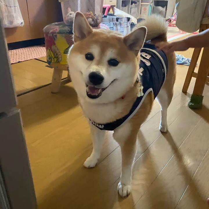 57e53b8c 27eb 47b1 b428 42bd689ce39d 1600499326407