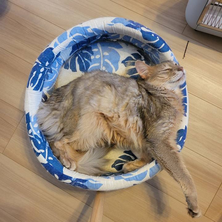 57e54e7e 1870 4e2f 8dbb 1473cbe1f5bf 1644456374947