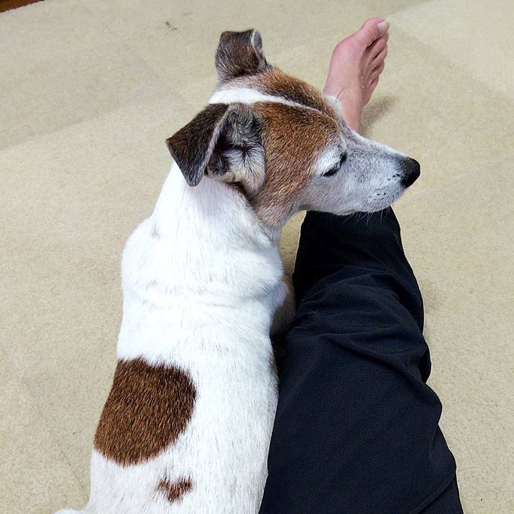 57e568ca 97e2 4ea4 b3cd 67a966d5b586 1565499948694