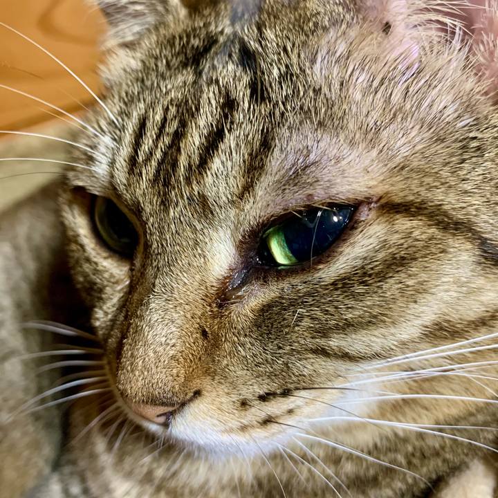 57e58228 3f9c 4d76 8146 faf055af3209 1603030051611