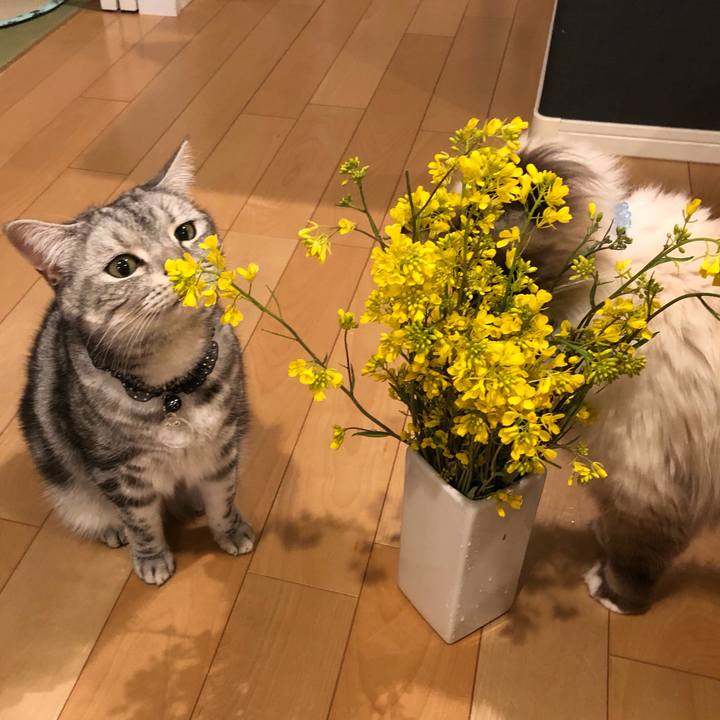 57e5858f beca 4b9d 93ba 302428668d20 1554290347726