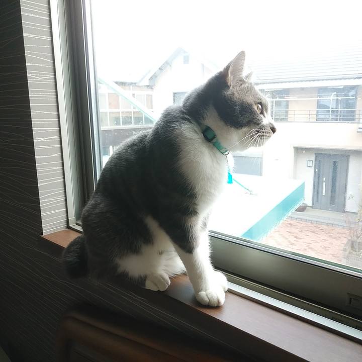 57e5b572 f7b9 4e46 bb4b 32abade37ff4 1583363763951