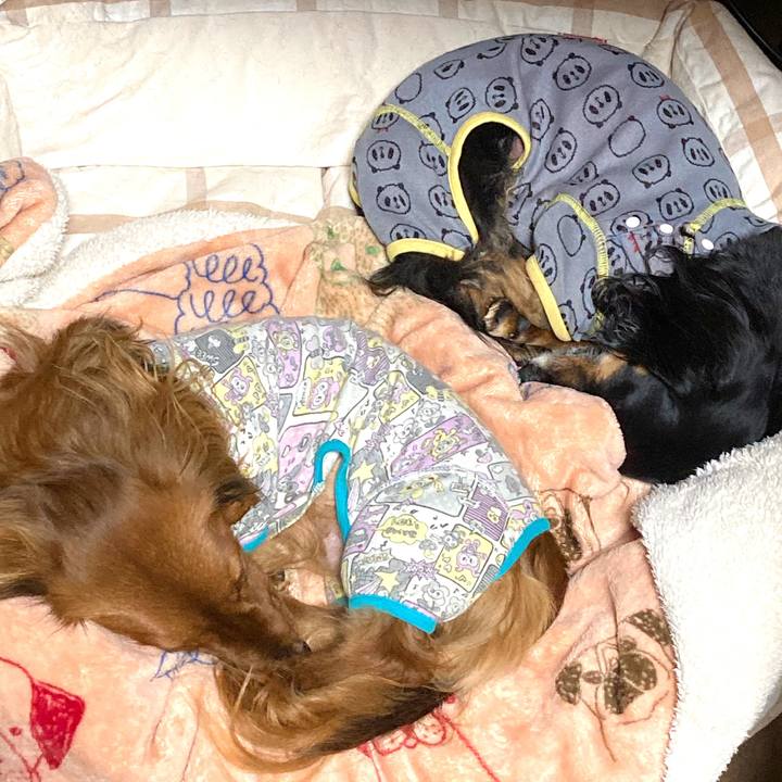 57e5c551 9a09 40ea ae6e 8cb2b452d5ac 1737294021624