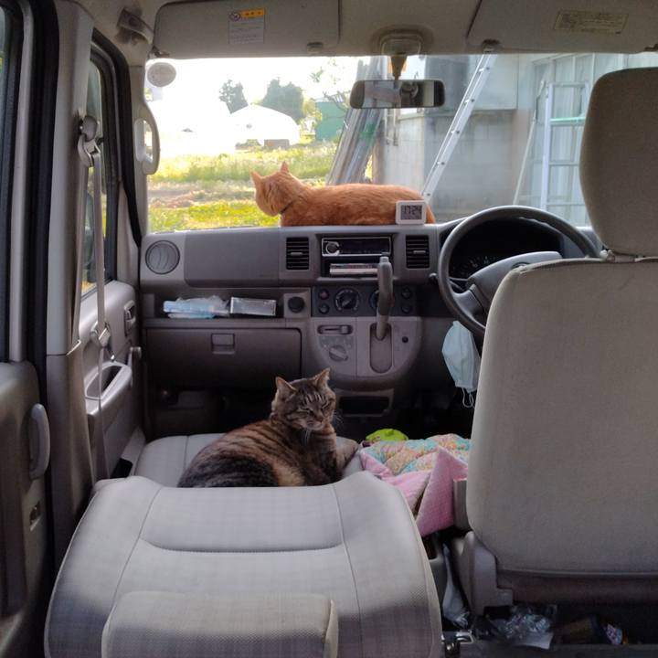 57e5d7ef 0f20 42e9 a112 f96d4ea2b8c7 1715336151948