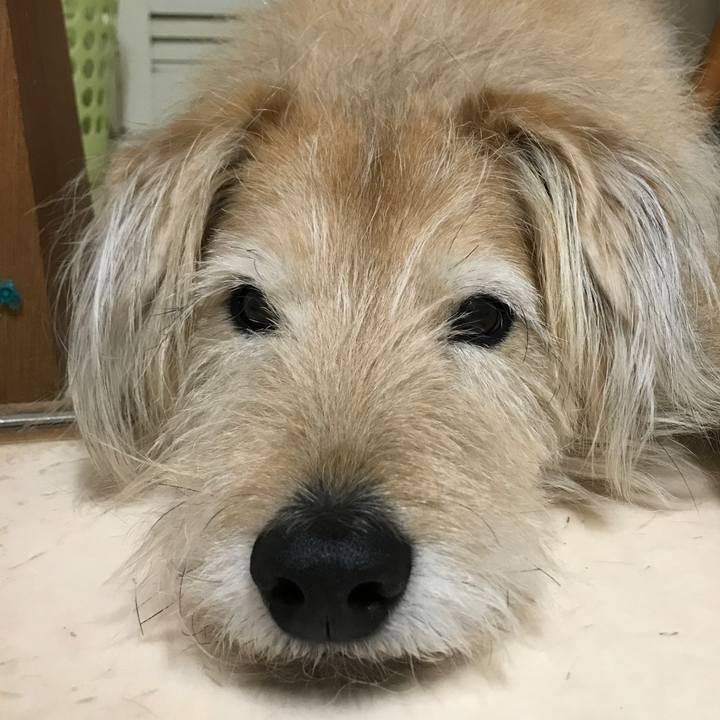 57e60efe 4a94 4a8a 9c54 d92776758d4e 1611877894891