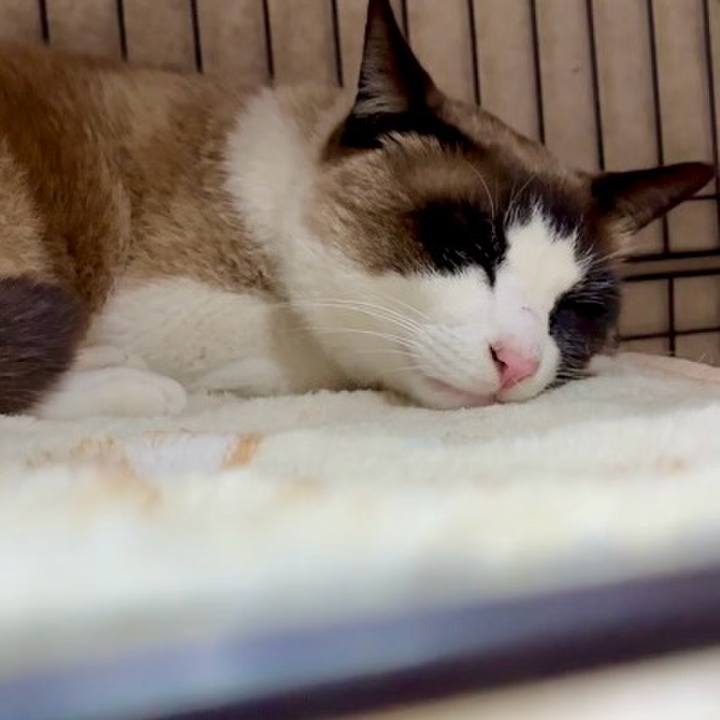 57e65efa 3dde 453a 9851 e01ccc62aaf2 1745057185665