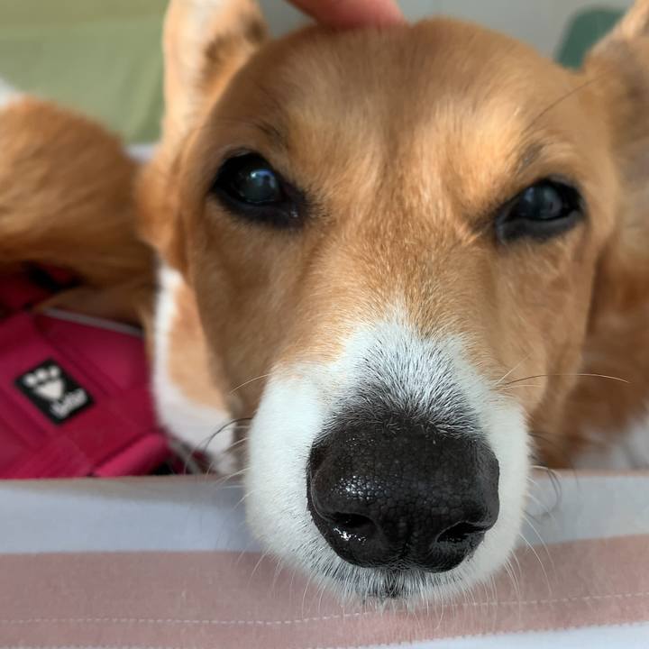 57e66552 2631 4450 9e12 5ec5d4543394 1669342727079