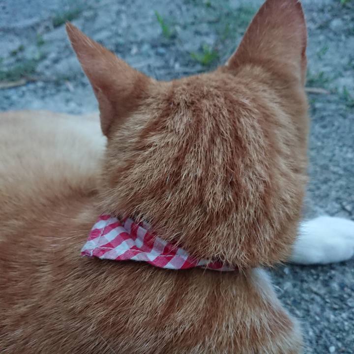 57e6688c 7a6c 4f57 8ef8 bea77fc15d1e 1599642624600