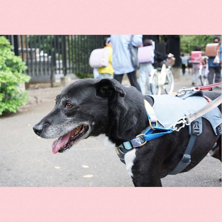 57e6688f 5eb7 416b aef2 634456b40122 1759798717522