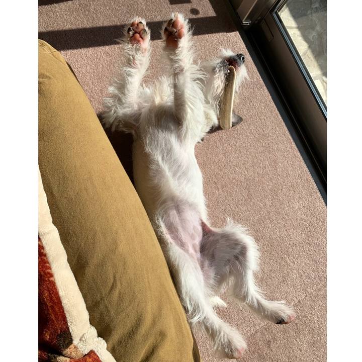 57e68731 32e4 4025 bac3 fcafc0a7ecde 1581160412624