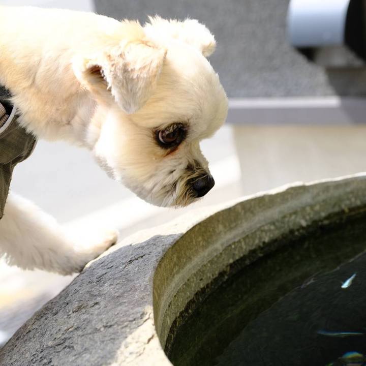 57e6a1e4 2f85 4f7a 8b1e 1e19740ba484 1617279489824