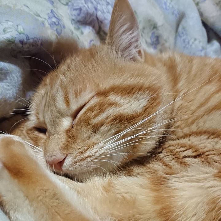 57e6b580 6f9b 464b 9fd6 f95f8550d4db 1655038697983