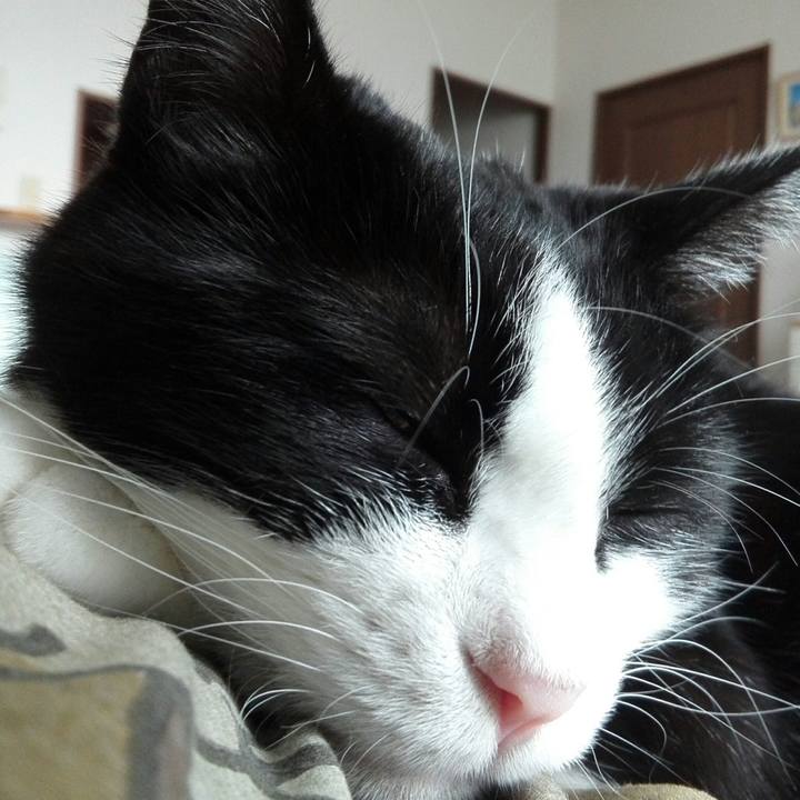 57e6bf2c 08d6 4943 a376 7ad99f3b9c3a 1539386752091