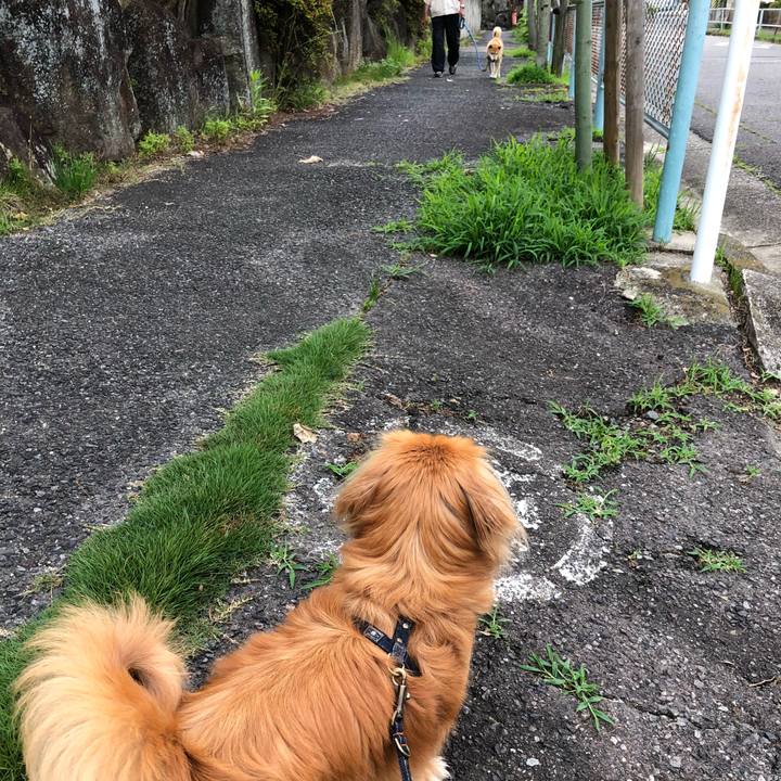 57e6edfb 469c 4c1e 8042 34745cba56dd 1528750622467