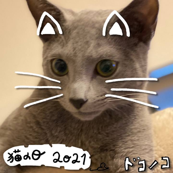 57e70241 9555 48d1 963e 6749ebb1935d 1613993620803