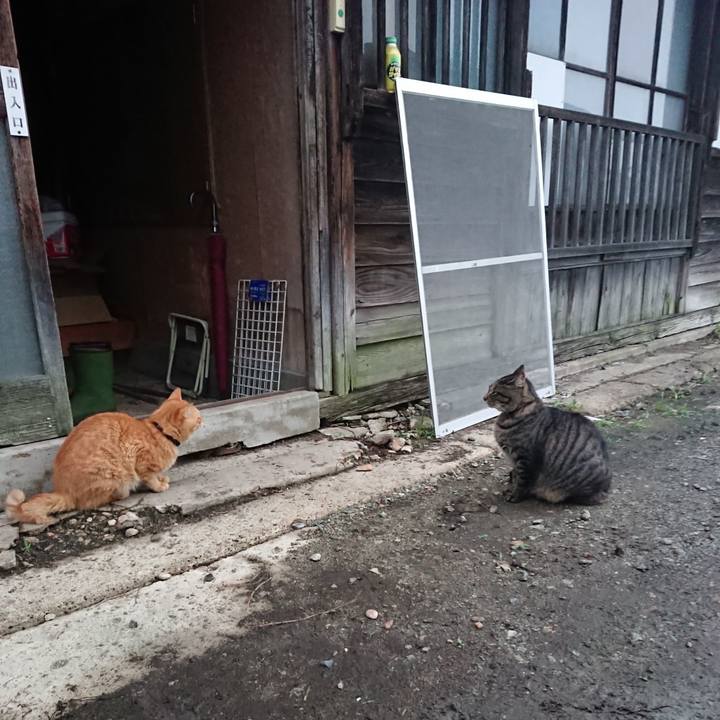 57e702f2 3a98 41c1 9504 55eff32e1eab 1661724212738