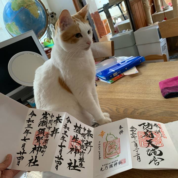 57e70734 52a4 4d9a 8c53 9f6fe504d496 1627126195405