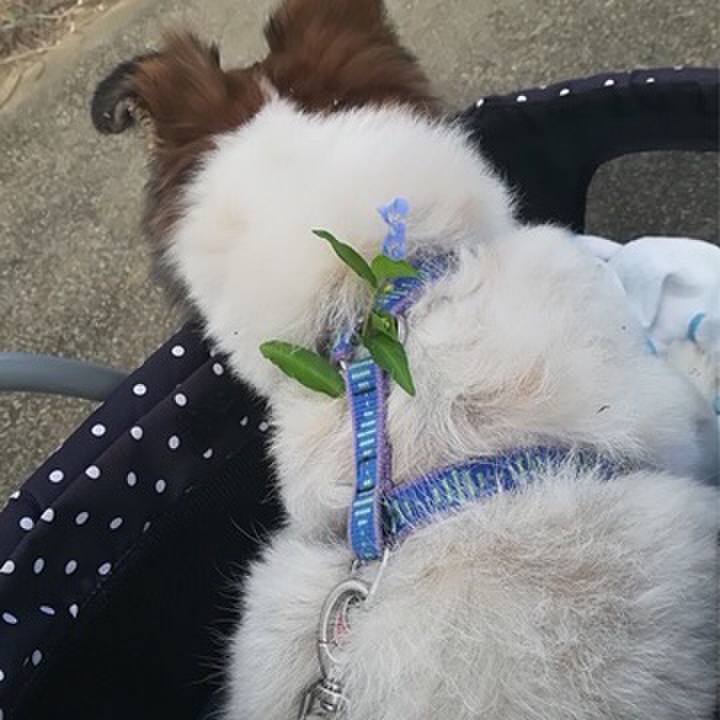 57e70d33 be39 4433 827b 0b4ecdd94199 1605880691312