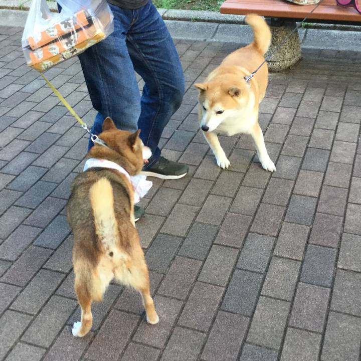 57e77a99 96e3 454e bce5 778a960c36c2 1627118606123