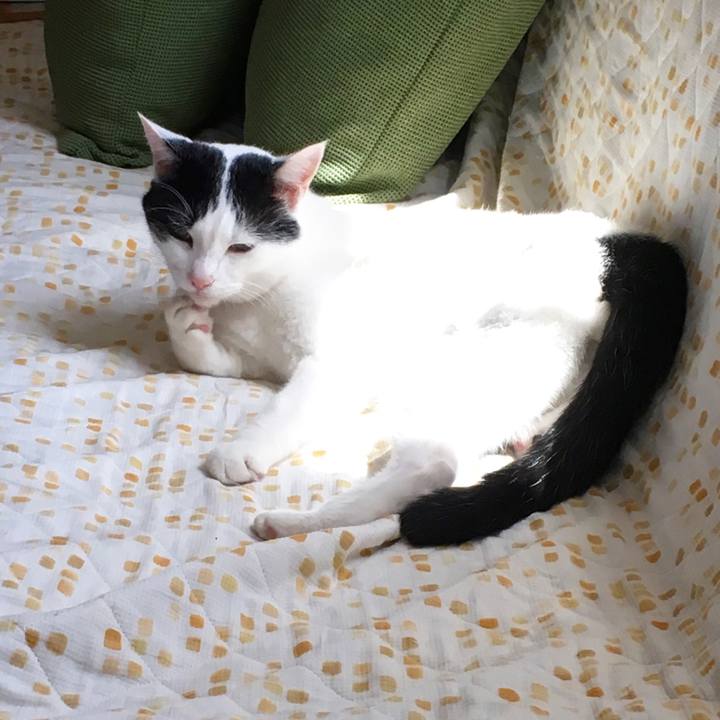 57e79fc5 da84 4f66 9382 61922d61963d 1535289807032