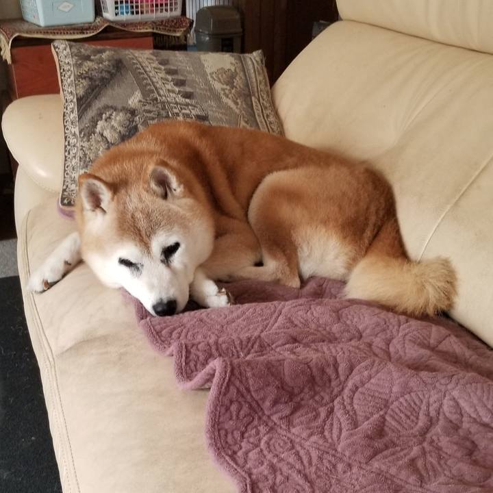 57e7a194 b728 4946 8e6d 8495be5a7e23 1759717142397