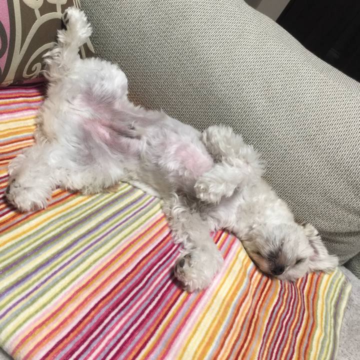 57e7df13 206b 4fec 976b 036992760029 1515927006232