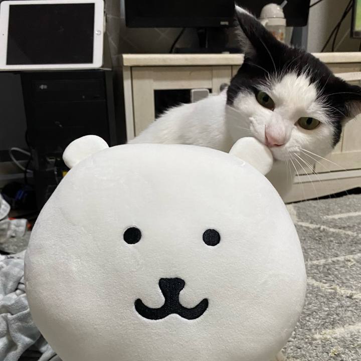 57e7e473 6bd3 4e4a aa21 dec274796fa4 1644498229943