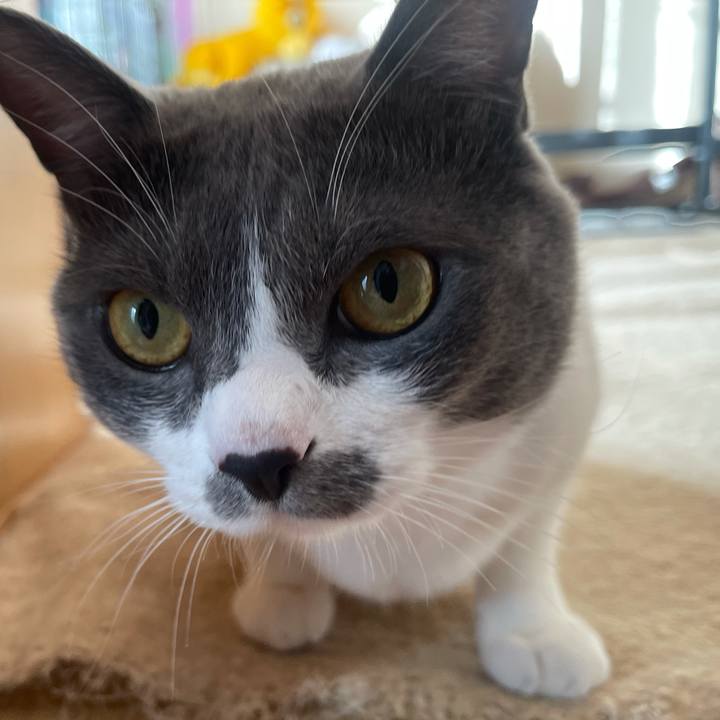 57e81466 82f0 481d 8876 3d2dd62fb037 1639006036641