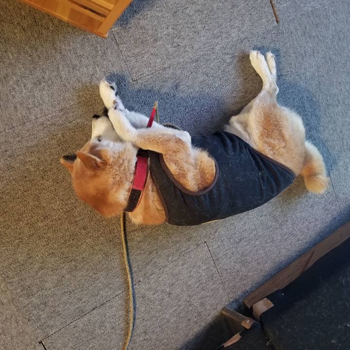 57e831e8 cc65 44f5 8dac c5bf34e040cc 1730331878966