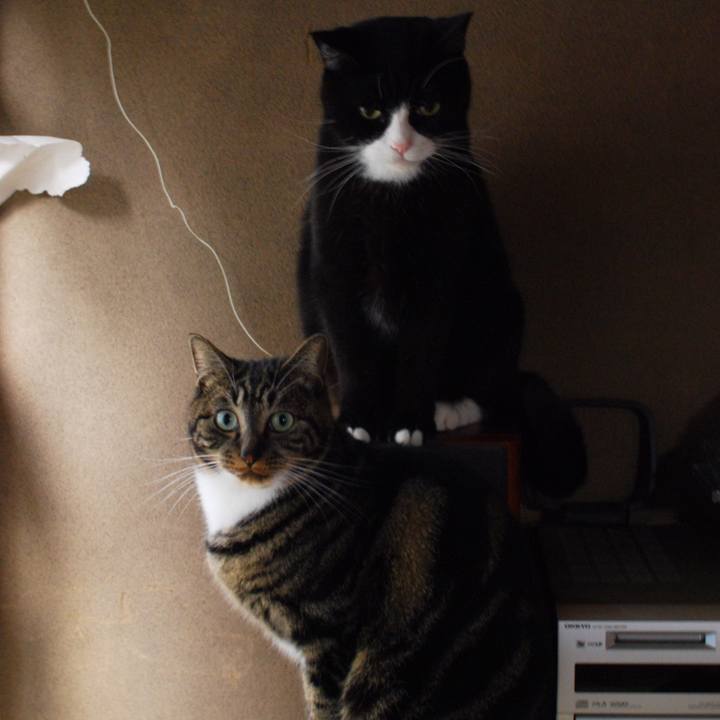 57e848ad 2e94 4082 ba61 32fffe62b88b 1553126525820