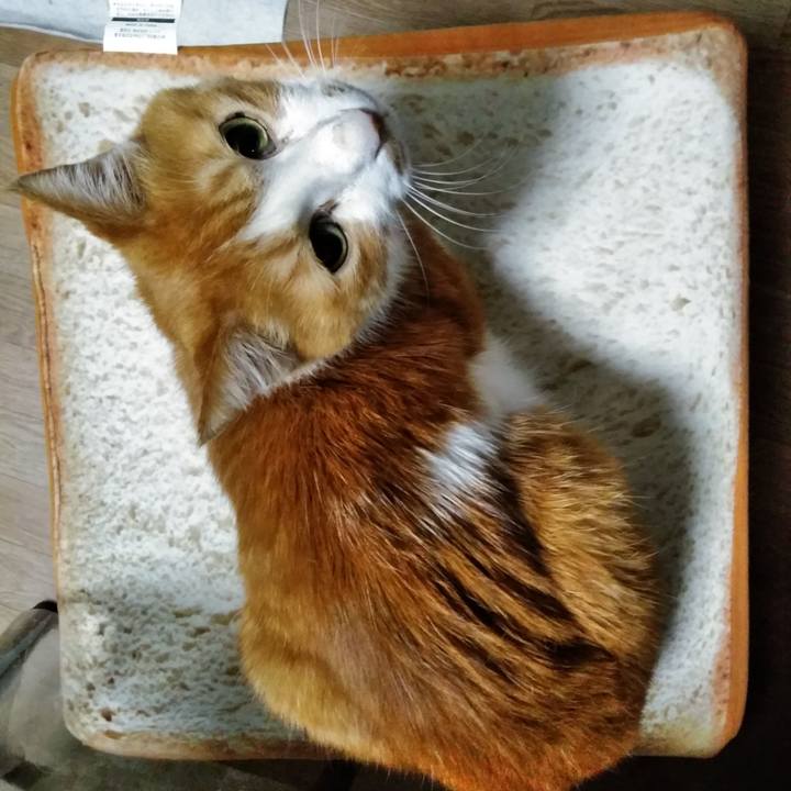 57e863a6 c2ba 4906 a3a7 0d5c0f84fe3a 1583707190381