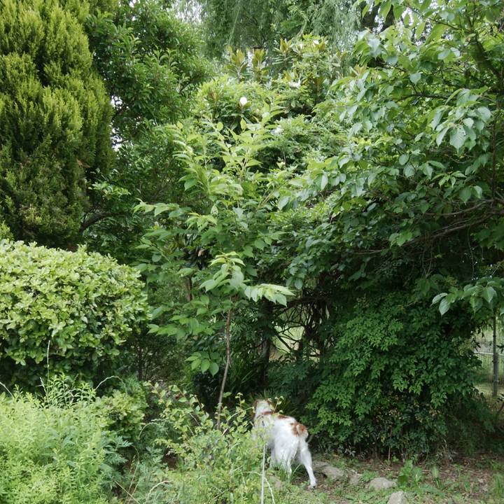 57e86b83 9ae2 47ac ae34 ca50ac6d1f57 1527498304762