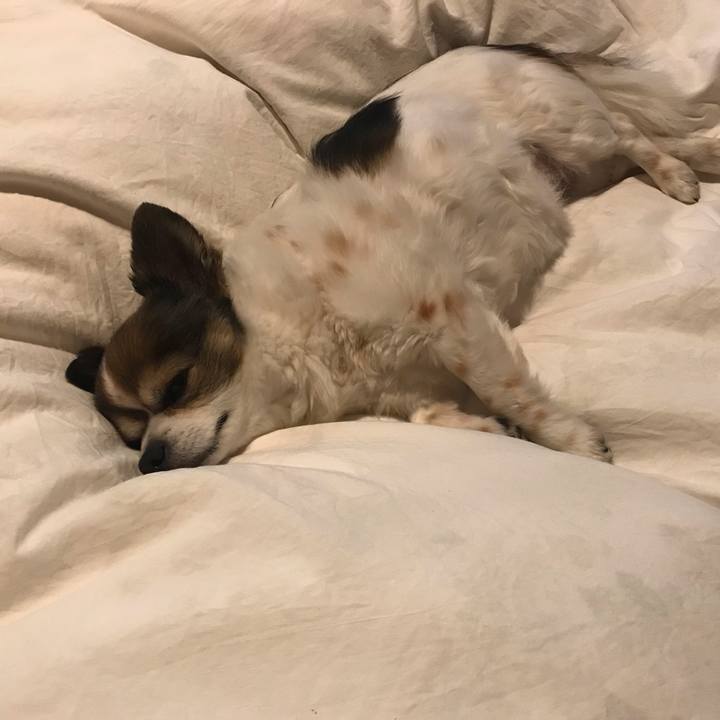 57e8831d d917 4e76 95ee 818c4e07bccc 1655396049919