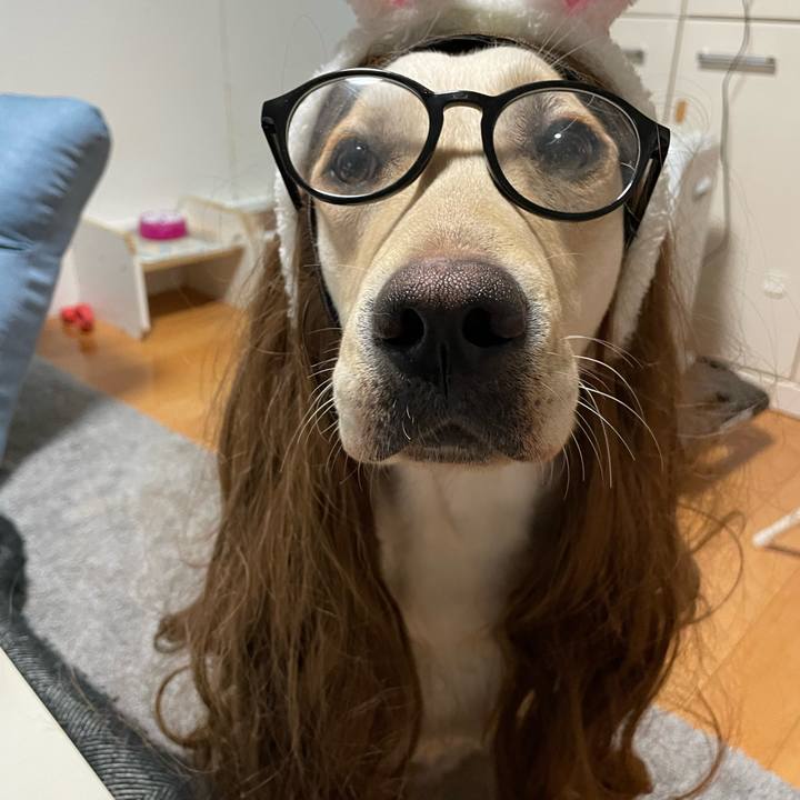 57e8b7b2 cce5 4498 8d8d d5778a12da4b 1644284278688