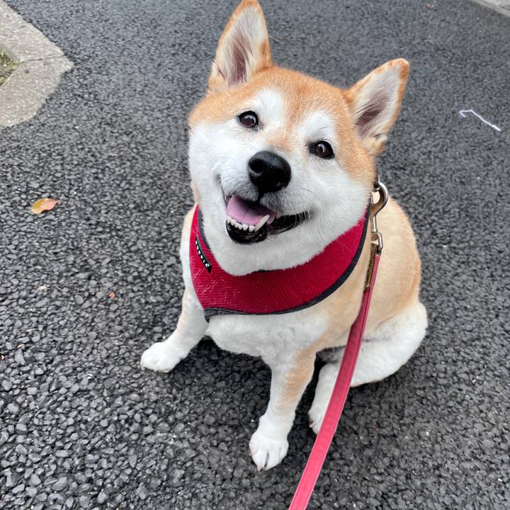 57e8c9d5 bd8b 46df ab48 f4b75a8315f9 1713838607360