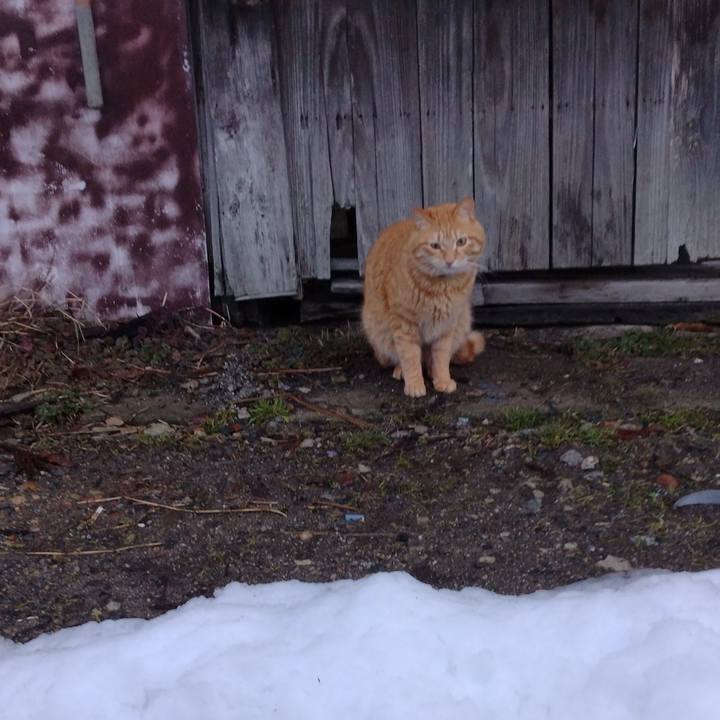 57e8d257 8b08 4c8f 9466 823cace332d4 1677192600650