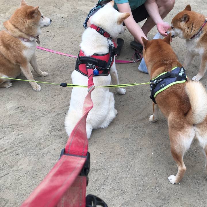 57e8d563 ff18 457b 9463 282148a5fb35 1559870070017