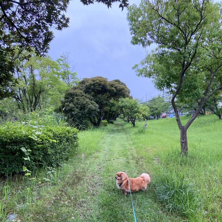 57e90b67 2f4c 4fc8 bd1f 9bb68ce56bf3 1592774033292