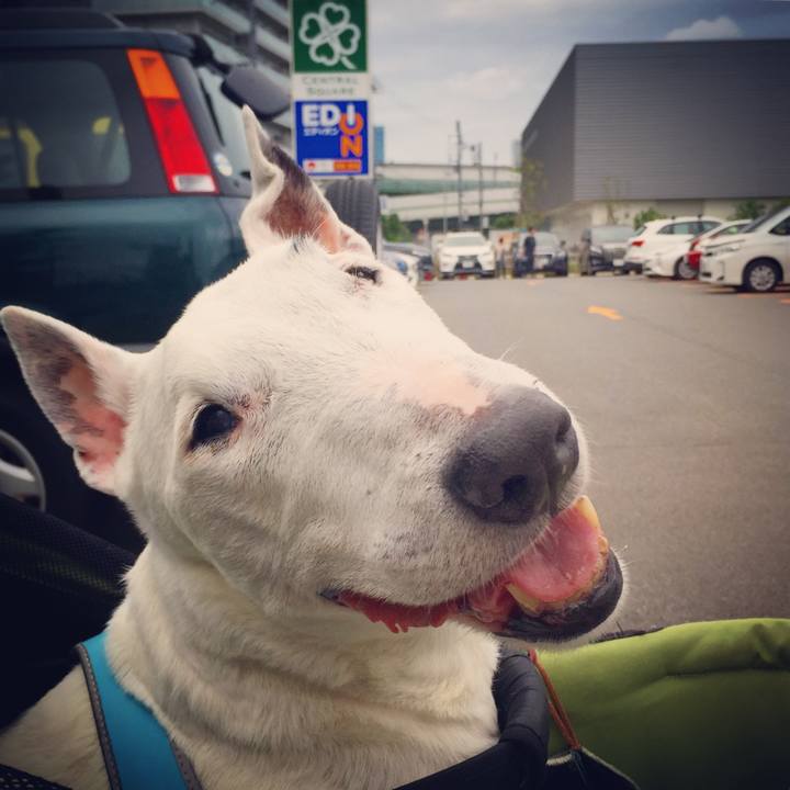 57e95846 c451 49f3 958f 40e9ec349b1a 1528614476127